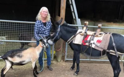 La Nouvelle république