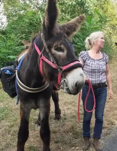Florence de l'Âne Archie du Berry avec un âne du Poitou bâté