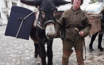 Nos ânes sous les projecteurs : Figuration et Événementiel