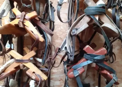 Harnachements de bâts pour les ânes de rando